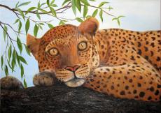 gepard Светлана Артёмова.jpg